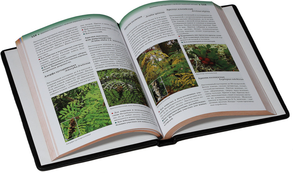 Атлас декоративных деревьев и кустарников