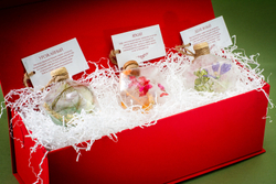 Набор Лето в льдинке