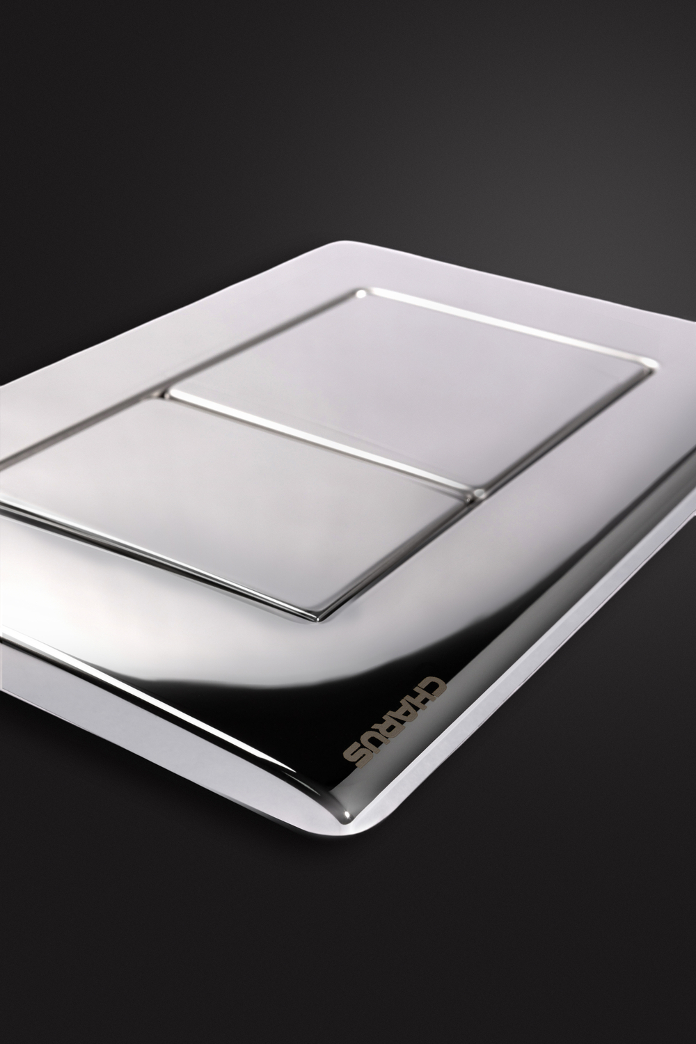 Клавиша для инсталляции CHARUS Robusto FP.310.GSS.05, глянцевая сталь