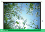 Проекционный экран Lumien Eco Control белый (LEC-100108)