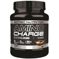 Scitec Nutrition Amino Charge (570 гр.) [M]