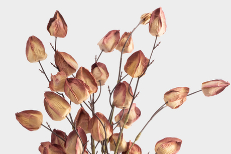 Ветка декоративная 46см Anna Lafarg Light autumn Бутоны