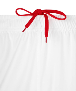 Шорты баскетбольные DIVISION PerFormDRY RBF Shorts, белый