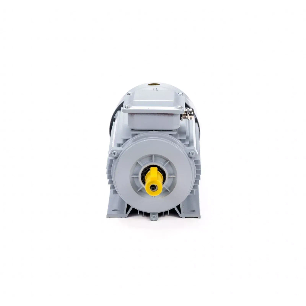 Электродвигатель ESQ PR 90 L2 GST-Б1-S12-IE2 3/3000 IM1081