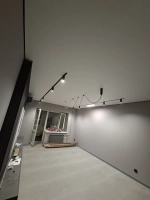 Трековый свет