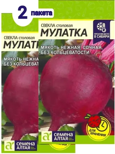 Семена свеклы Мулатка. Лежкая, без колец