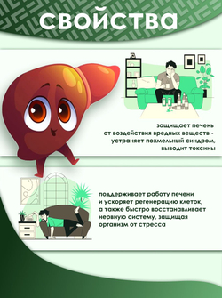 Комплекс Solimo для печени Экстракты куркумы, устриц и Шидзими, (60 дней)
