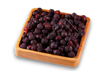 Черника крупная