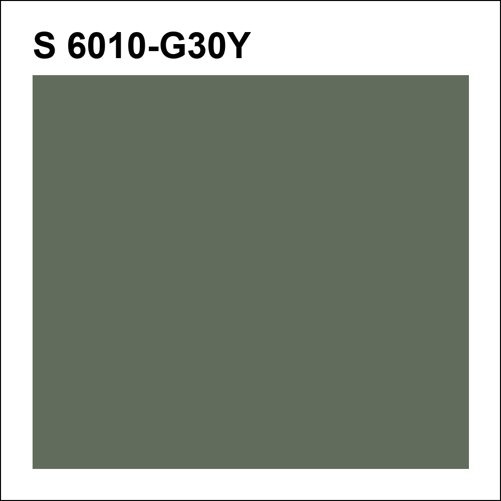 S 6010-G30Y за кг
