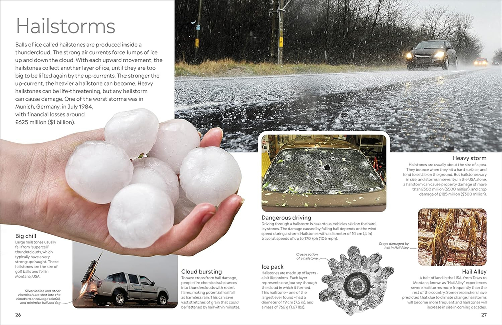 Hurricane and Tornado (DK Eyewitness)