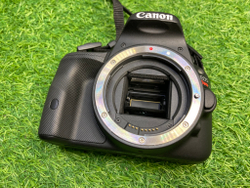 Canon Rebel SL1 + 18-55mm IS STM Покупка/Продажа