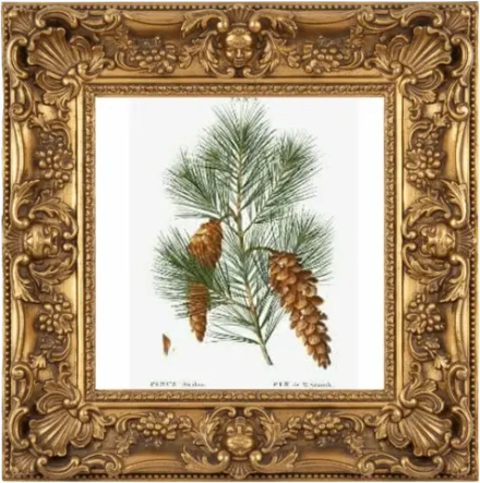 Отдушка SM - БЕСПЛОДНЫЕ ЗЕМЛИ (BADLANDS)