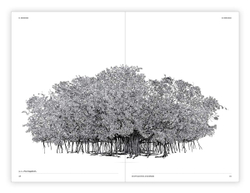 The Architecture of Trees