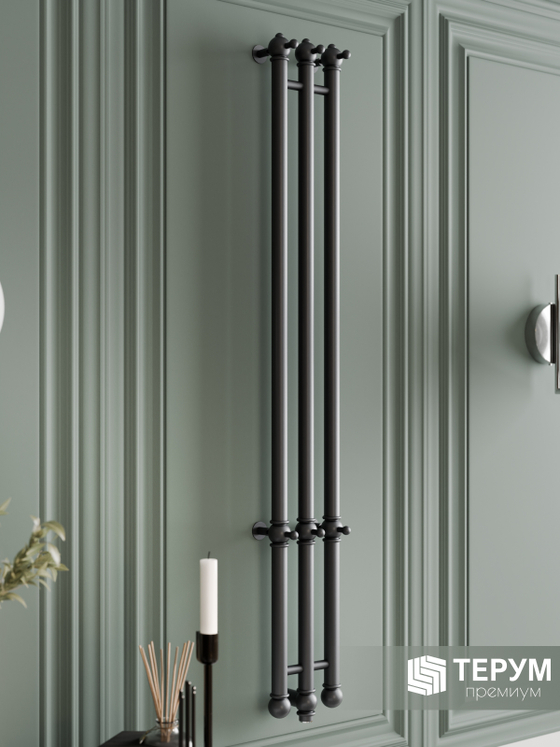 Полотенцесушитель Винтаж 3 120х16 Графит