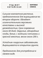 Семена редька Ред Мит китайская для посадки, 1 гр. семян (Vita Green / Вита Грин)