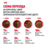 Корм Royal Canin British Shorthair 34 для британских кошек 2кг