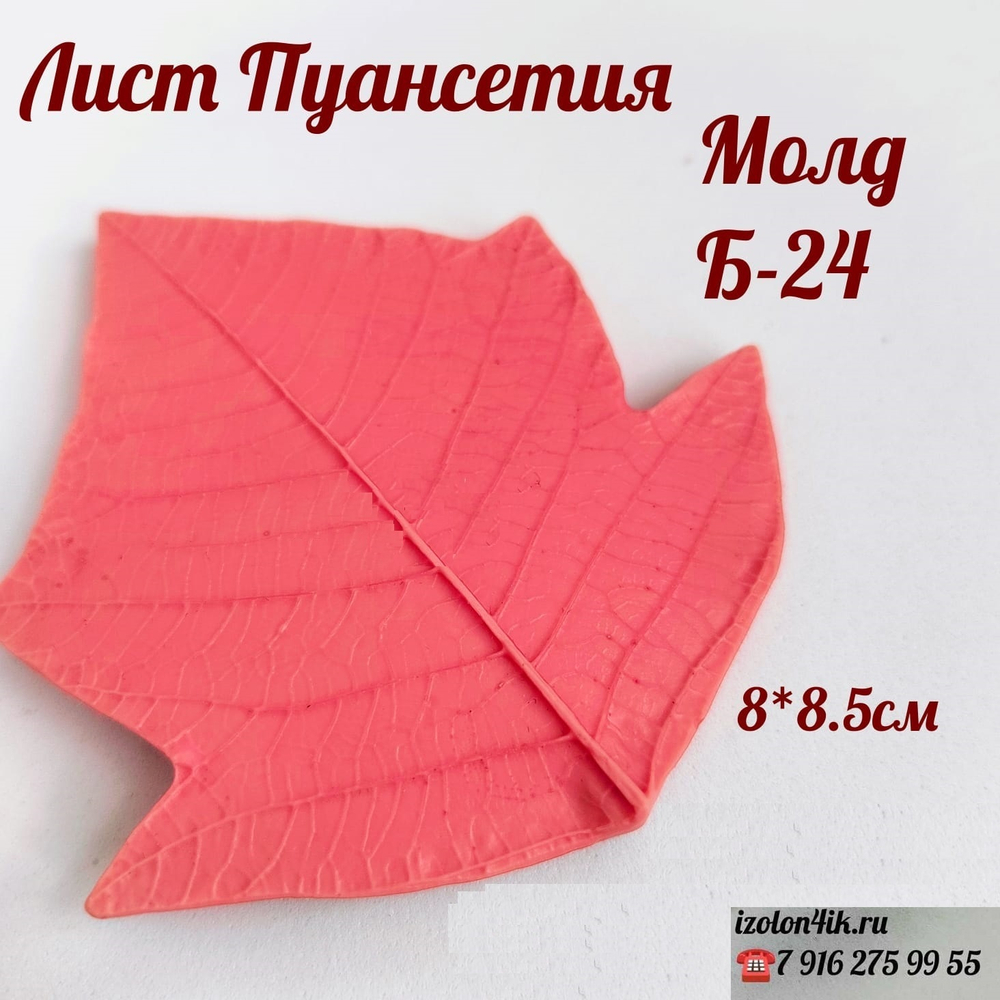 Молд Б-24