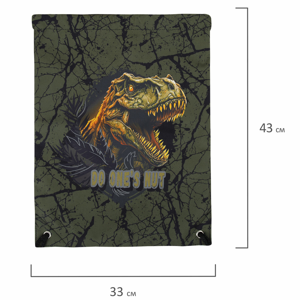 Мешок для обуви BRAUBERG PREMIUM, карман, подкладка, светоотражайка, 43х33 см, Dino attack, 272424