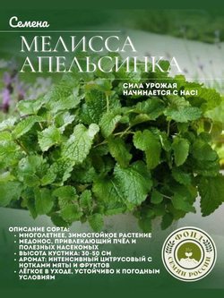 Мелисса Лекарственная, Жемчужина, Семена 0,1 гр.
