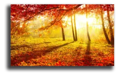 Постер "Осенний листопад"