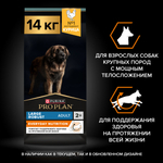 Сухой корм PRO PLAN EVERYDAY NUTRITION для взрослых собак крупных пород с мощным телосложением курица 14 кг