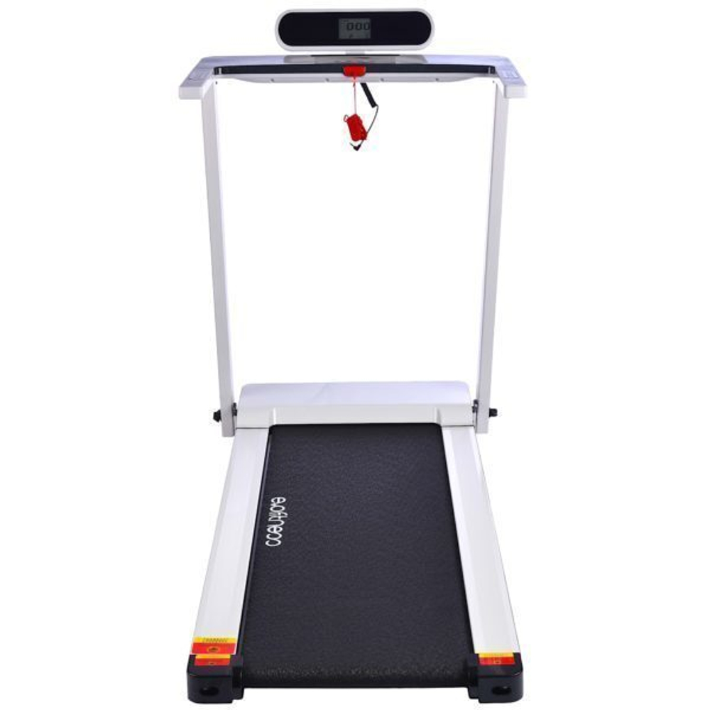 Evo fitness vector II