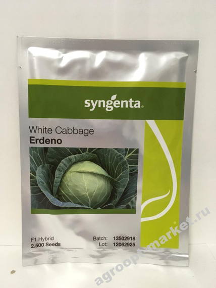 Эрдено F1 семена капусты белокочанной – фото 2