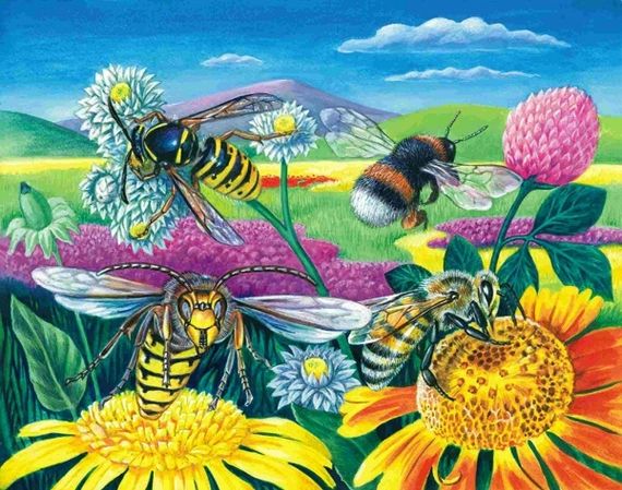 Медовый аромат-алмазная картина