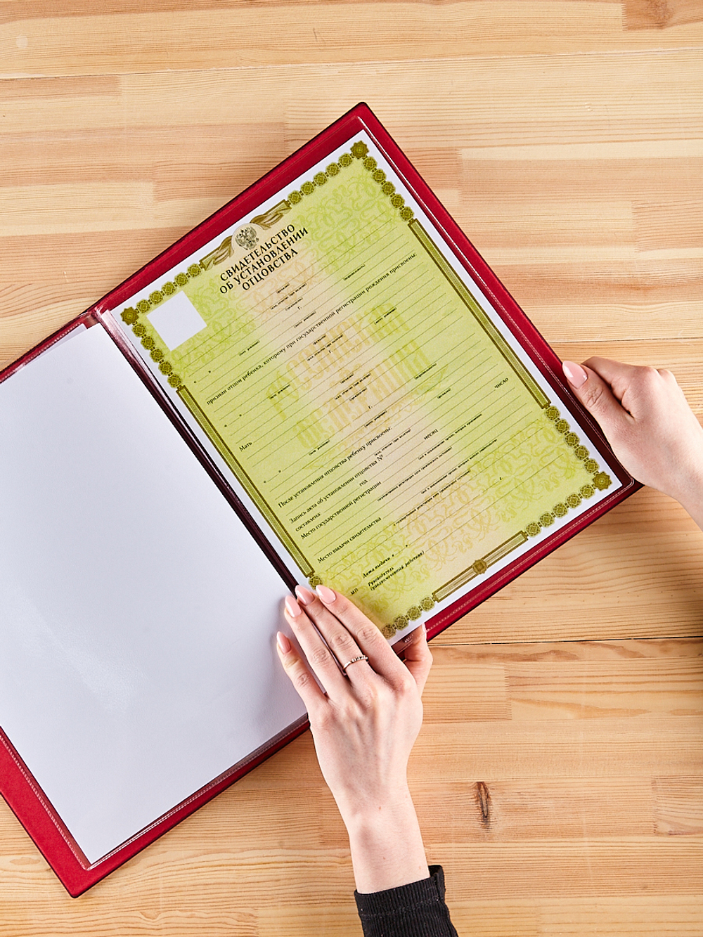 Папка для хранения семейных документов А4 c файлами