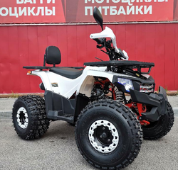 Квадроцикл PROMAX WILD 2.0 190 LUX