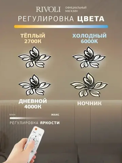 Люстра потолочная светодиодная с пультом ДУ Rivoli черная LED 120 Вт 3000 - 6000 К, светильник на кухню, в детскую, в спальню