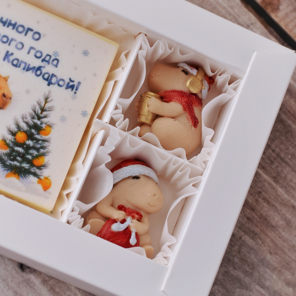 Набор "Сказочного Нового Года" с капибарой