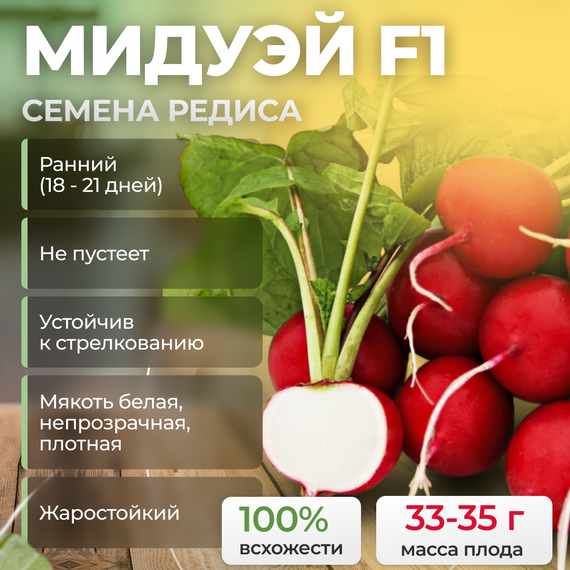 МИДУЭЙ F1 семена редиса (Sakata) купить
