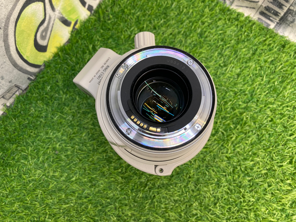Canon EF 28-300mm 3.5-5.6L IS USM Покупка/Продажа