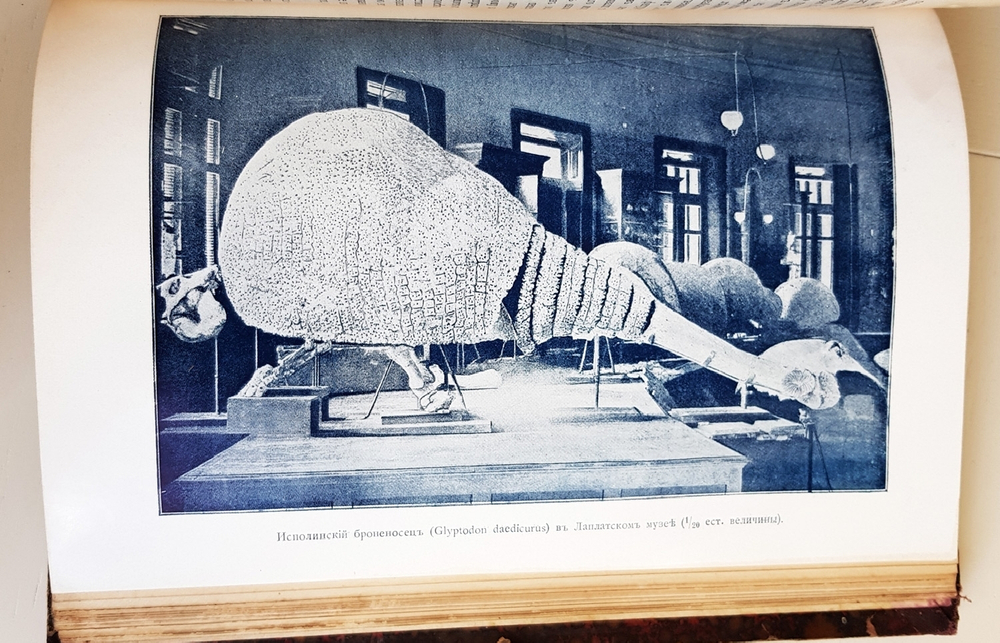 "Эволюция мира. Werden und vergehen. Том 2". Карус Штерне. 1909 г.