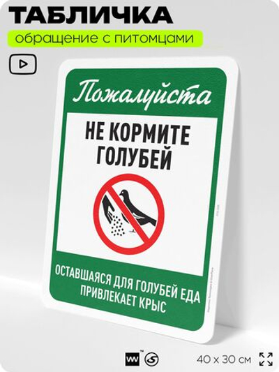 Табличка "Не кормите голубей" на дверь и забор, для двора, дома, подъезда, 40х30 см, Silver Plane x Айдентика Технолоджи