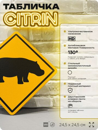 Табличка прикольная "Осторожно, бегемоты" на дверь и стену, информационная и предупреждающая, декоративный знак, 24,5х24,5 см, пластиковая, Айдентика Технолоджи