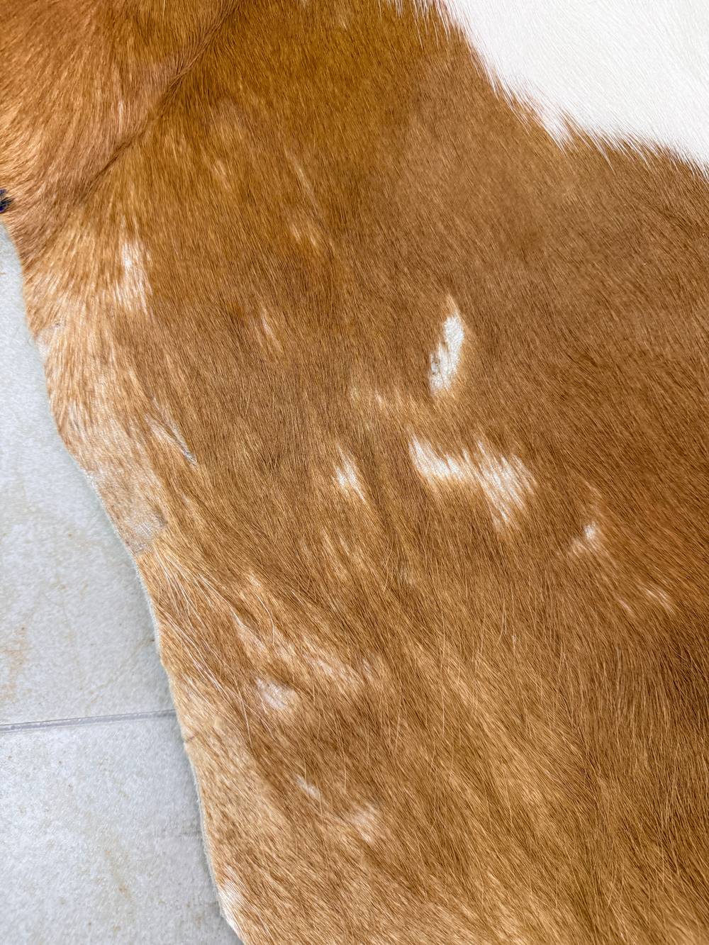 Коровья шкура на пол натуральная. 200 х 190 см