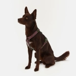 Анатомическая шлейка Jungle