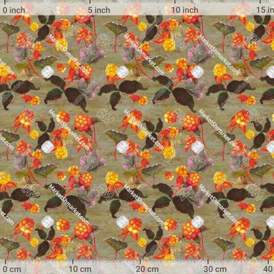 Ягоды севера . Морошка .Магазин art_sun_ray by art_sun_ray 484 DPI