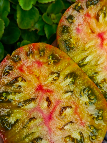 Вишнёвые полосы томата