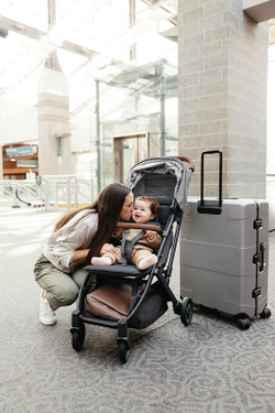 Прогулочная коляска UPPAbaby MINU V2 Greyson