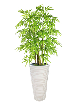 Искусственный Бамбук 150 см светло-зеленый в высоком круглом белом кашпо
