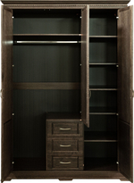 Шкаф для одежды 3д «Верди» П3.487.1.25 (П434.10)