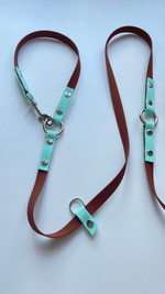 Перестежка поводок для собак средних и мелких пород , 15 мм, 3 м. Коричневый и мята