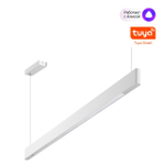 359549 LEDO NT25 000 белый Светильник подвесной диммир. со сменой цв.темпер. (пульт ДУ/прилож. Smart Life) IP20 LED 12/24W 220-240V 3000-5700К ITER