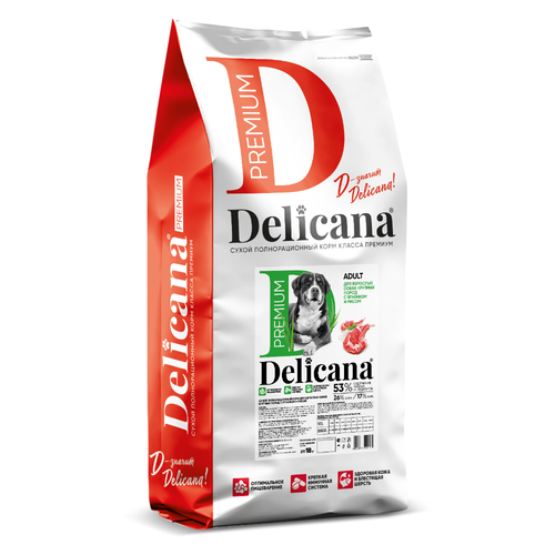 Delicana корм сухой для взрослых собак крупных пород рис, ягнёнок