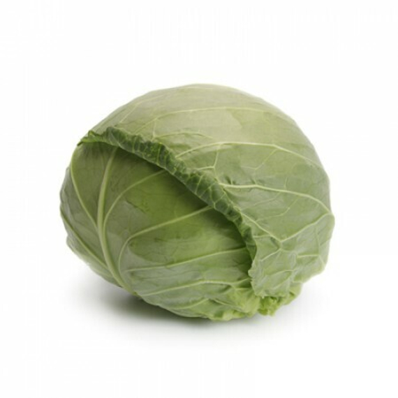 ЗАРИССИМА F1 семена капусты белокочанной Rijk Zwaan купить – фото 1