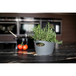 Контейнер для хранения bottichelli, 1,5 л, белый