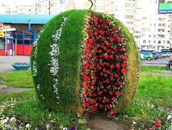 Топиарная фигура Арбуз